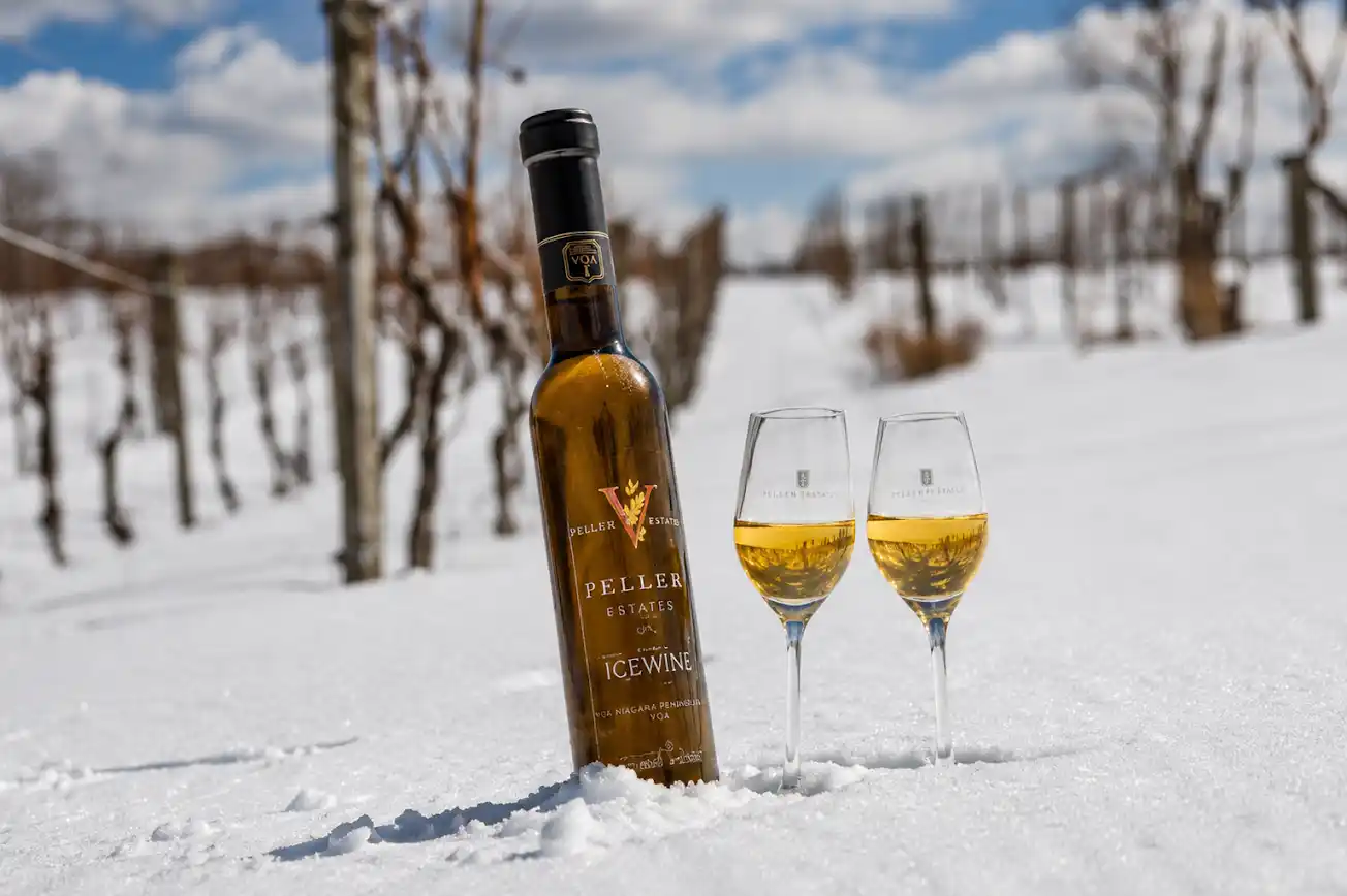 Wine Tasting Experience