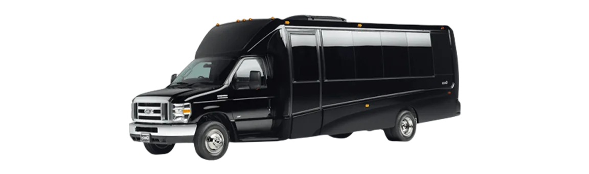 Coach 24 passengers mini coach