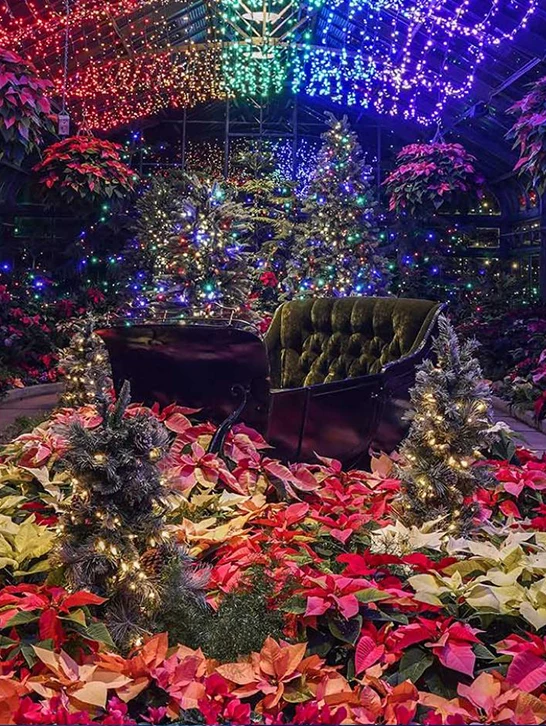 Floral Showhouse